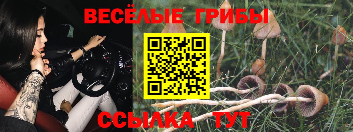 Галлюциногенные грибы ЛСД Чебоксары