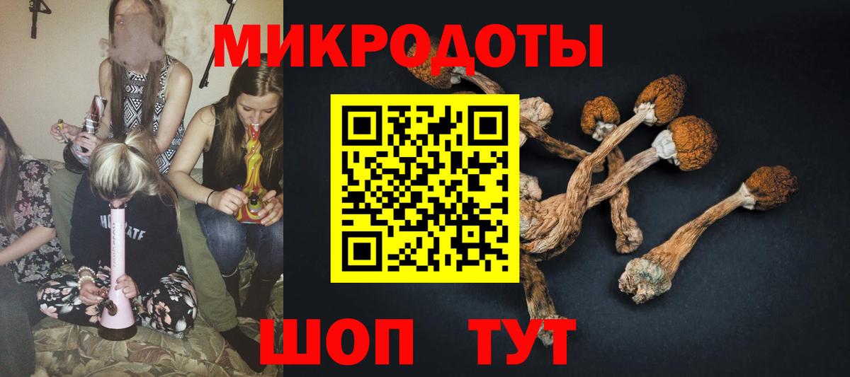 Чебоксары  Галлюциногенные грибы прущие грибы  Галлюциногенные грибы прущие грибы  Вход с VPN 